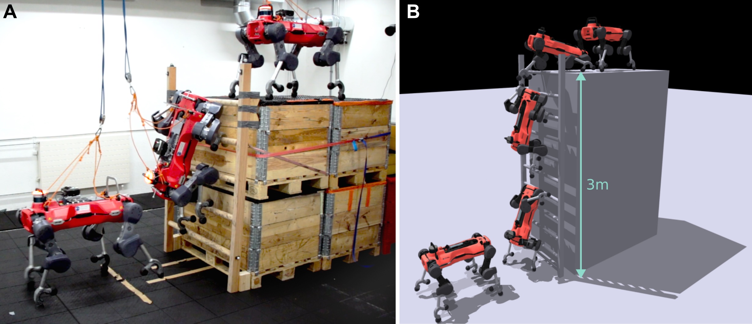 quadrupedal robot